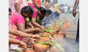 pongal