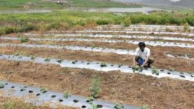 drip-irrigation