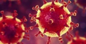 how-to-prevent-corona-virus