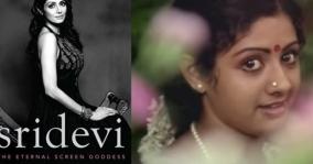 sridevi-s-biographer-wanted-to-know-many-things-about-her