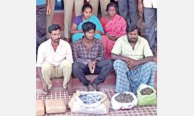 ganja-sellers-arrested