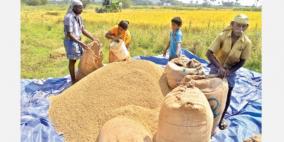 nellai-farmers