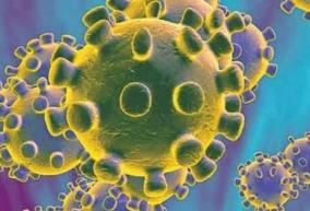 coronavirus-cases-rise-to-20-in-pakistan