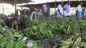 vegetable-trade-hits-in-mettupalayan-due-to-corona