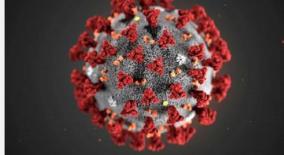 coronavirus-not-man-made-has-natural-origin-scientists