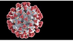 covid-19-virus