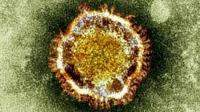 iran-reports-144-new-coronavirus-deaths-raising-total-to-2-378