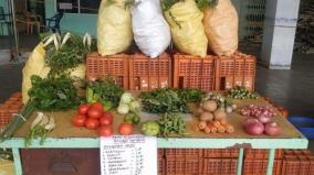 theni-uzhavar-sandhai-gives-vegetable-bag-for-rs-150