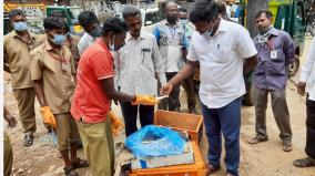 waste-fishes-in-market