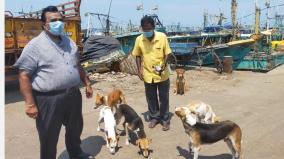 food-to-stray-dogs-bjp-shows