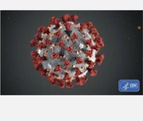 coronavirus-without-lockdown-india-would-have-seen-over-8-lakh-cases-by-april-15-says-health-ministry