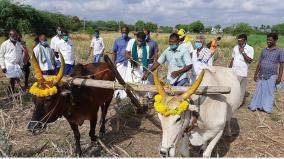 chitirai-festival-in-ettayapuram