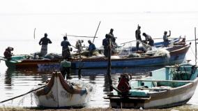fishes-remain-un-bought-due-to-curfew