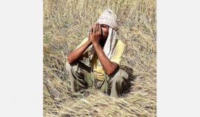 kanchipuram-farmers