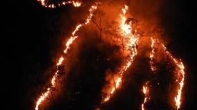 forest-fire-in-kodaikanal