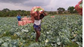 farmer-struggles-to-sell-his-vegetables