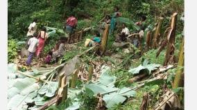 tribal-affected-due-to-forestry