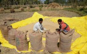 union-minister-for-food-and-public-distribution-says-massive-exercise-underway-to-supply-free-food-grains-pulses