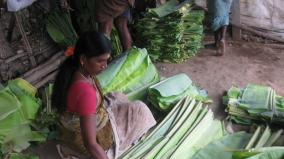 banana-leaves-farmers-affected-due-to-lockdown