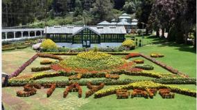 ooty-flower-show