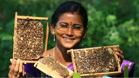 honey-cultivation-and-its-importance-explained