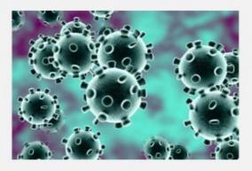uae-confirms-894-new-coronavirus-cases