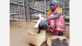 valparai-tribes-in-trouble