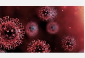 indonesia-reported-on-saturday-1-014-new-coronavirus