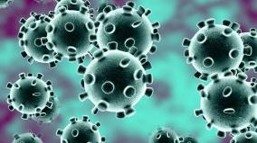 sivagangai-13-persons-infected-by-corona-virus