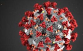 children-tests-positive-for-corona-virus