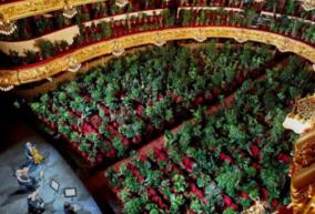 barcelona-opera-house-reopens-with-concert-for-2-292-plants