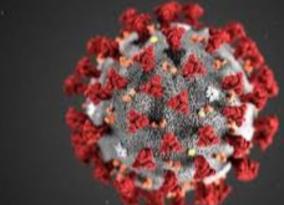58-persons-tests-positive-for-corona-virus-in-salem