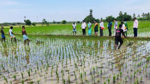 Agriculture official inspection in Lalgudi