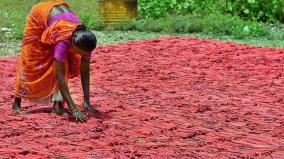 sivakasi-cracker-factories-closed