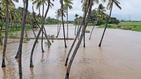 sw-monsoon-in-theni