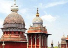 advertisements-on-trees-highcourt-order-to-chennai-corporation