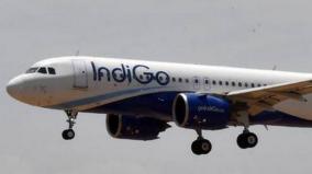indigo-airlines