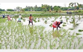 trichy-agricultural-works