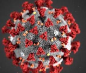 12-more-persons-tests-positive-for-corona-virus-in-karur