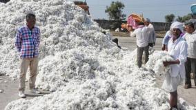 dmk-demands-for-procurement-of-cotton-from-tenkasi-farmers