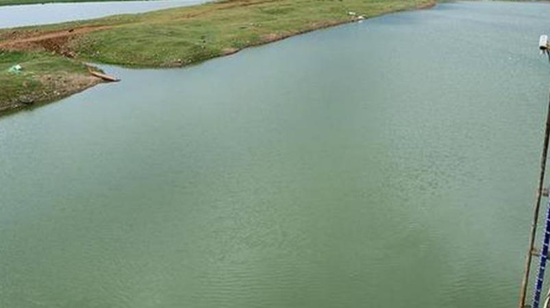 பூண்டி ஏரி நீர் இருப்பு குறைந்ததால் சென்னை குடிநீருக்கு நீர் திறப்பு நிறுத்தம் | poondi lake - hindutamil.in