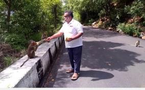 foresters-should-come-forward-to-save-wildlife-social-activists-demand-feeding-of-monkeys-in-yelagiri