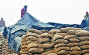 distribution-of-food-grains-under-pmgkay-ii-started-total-33-40-lmt-food-grains-picked-up-by-the-states-uts-till-now