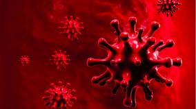 tutucorin-corona-virus-cases-increase-to-7000-4-dead-in-a-day