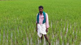 the-story-of-a-farmer-who-influenced-80-farmers-to-practice-traditional-farming