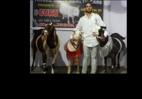 u-p-kanpur-qurbani-goat-sacrifice