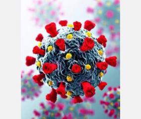 hope-for-vaccine-novel-coronavirus-strains-show-little-variability-study-finds