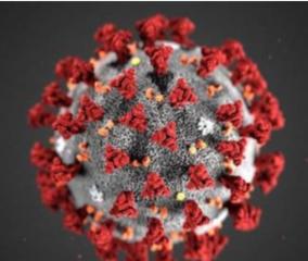 37-more-persons-tests-positive-for-corona-virus-in-karur