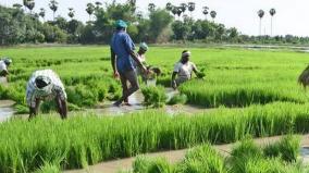 no-regulations-formulated-for-protected-special-agricultural-zone-government-tells-hc