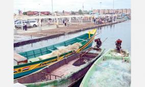 kasimedu-fishing-port